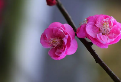 ​网名大全繁体字符号234个