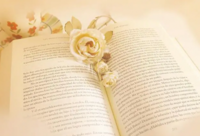 ​qq号名称187个