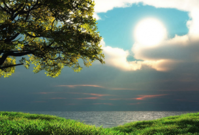 ​关于彼岸花的昵称四个字(共105个)