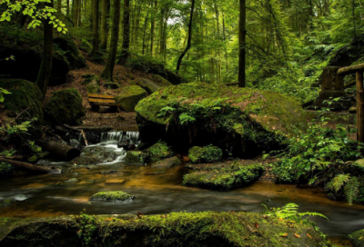 ​劲舞团个性昵称大全(优选73个)