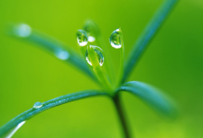 ​ava战队名字(共84个)