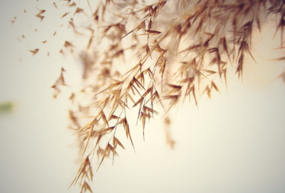 ​很搞笑的昵称有内涵的(共485个)