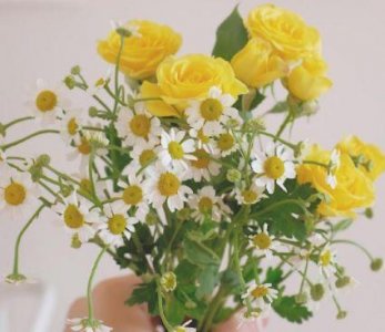 ​适合喝醉了之后发的朋友圈 喝醉酒发的朋友圈