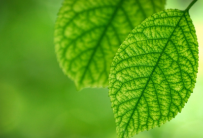 ​搞笑吃鸡名字昵称(精选78个)