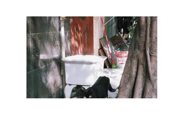 行也思君坐也思君的上一句是什么?意思详解