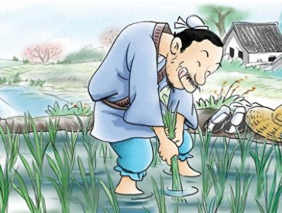 ​【每日一典】中华成语小故事之：揠苗助长。