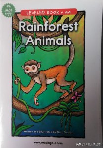 ​英文有声绘本故事《Rainforest Animals》