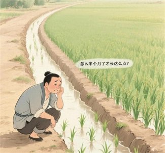 ​成语故事《拔苗助长》