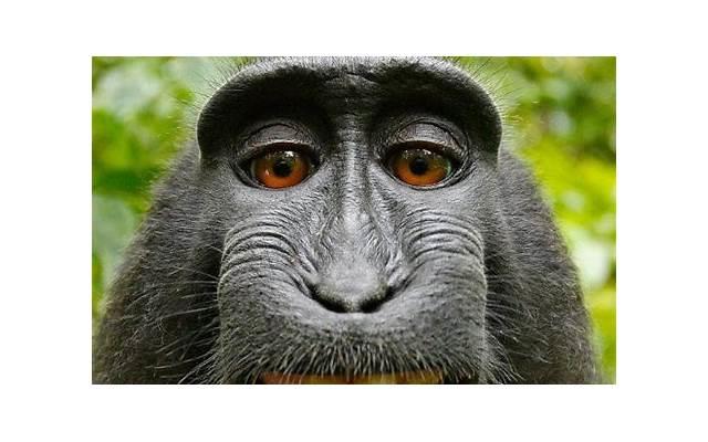 启东农村抖音文案创意（关于农村的抖音标题）