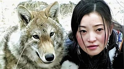 再见，格林！一位成都女孩和狼王，历时十年的凄美故事