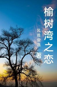 榆树湾之恋（近现代情感故事连载十四）