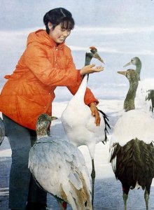 ​甘萍20多年后再唱《一个真实的故事》，这首歌的原唱你知道是谁么