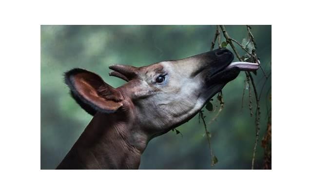 陪孩子的心情短语