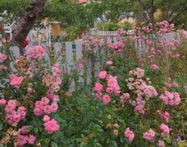 ​形容友谊的句子47条