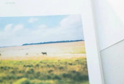 ​100%能上抖音热门的文案