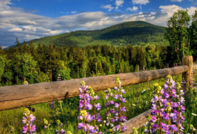 ​对老公说的表示感谢的话（精选推荐）