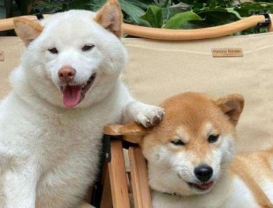 2026中秋节暖心简短文案句子(87句)