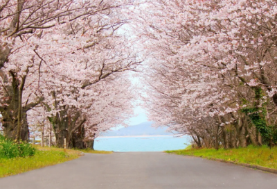 ​女人经典晚安心语正能量 高情商说晚安的短句(精选59句)