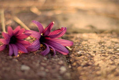 ​男生阳光帅气的昵称