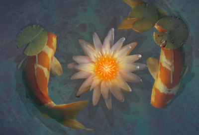 ​写给女儿生日的说说 祝女儿生日精致的句子60条