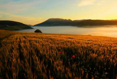 ​祝儿子生日快乐的句子发朋友圈 儿子生日快乐说说61条