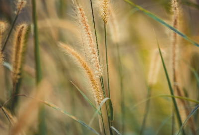​早安说说简单一句话 适合清晨发朋友圈的句子62条