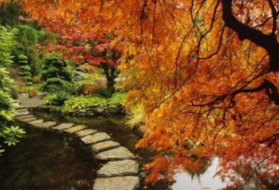 ​生日搞笑句子52条