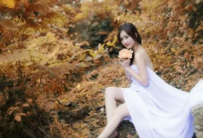 ​儿童益智故事300篇合集