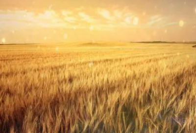 ​游戏名字特殊符号（精选1400个）