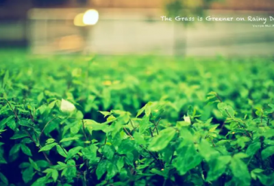 ​qq炫舞名字（精选1500个）