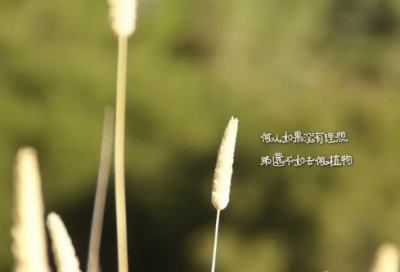 ​非主流个性情侣网名 15篇