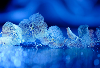 ​2023年兔年庆祝春节祝福语 2023兔年春节祝福语(精选200句)