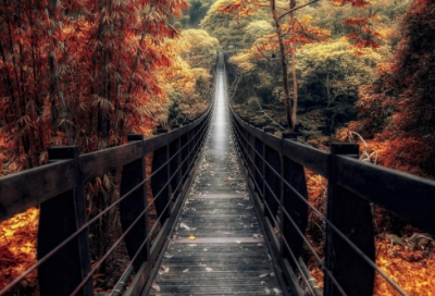 ​2023除夕祝福语大全 祝福语大全(精选190句)