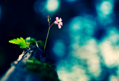 ​元旦祝福语简单创意 元旦祝福语简单创意(精选200句)