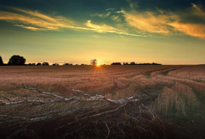​腊八节祝福问候语 腊八节问候语(精选180句)