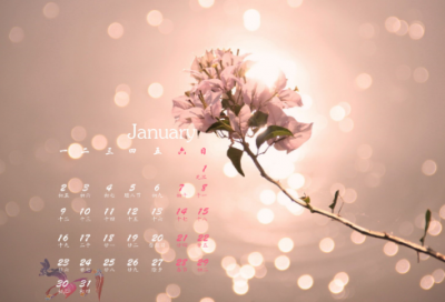 ​2023年兔年吉祥欢乐祝福语 兔年四字祝福语(精选200句)