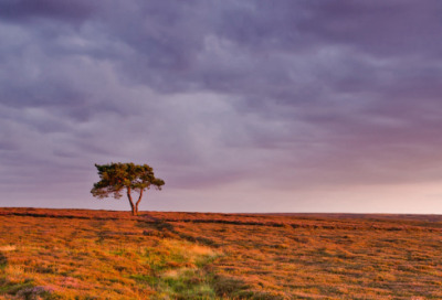 ​2023年给朋友发的元旦祝福语(精选160句)