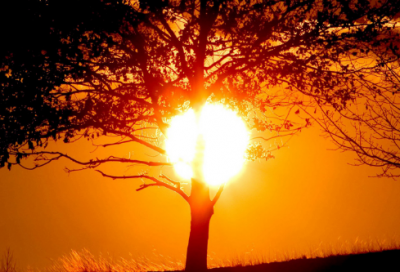 ​最新整理！爸妈祝福语最温馨的话短句精选162条