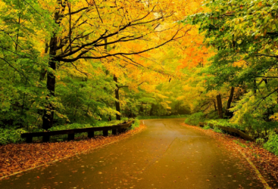 ​2023年兔年除夕祝福语大全(2023元旦祝福语大全简短)