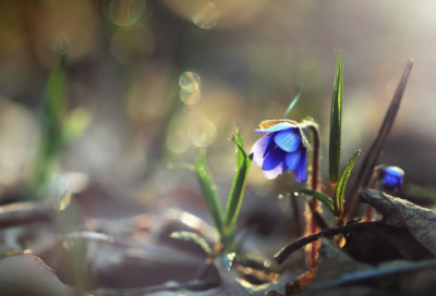 ​祝福朋友开业的祝福语祝生意兴隆的祝福语精选(精选170句)