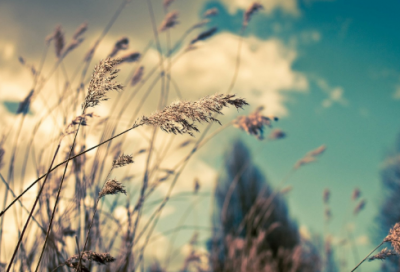 ​留言祝福语精选170条