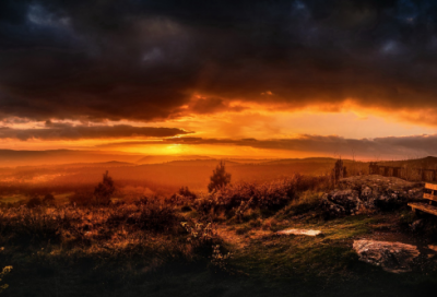 ​感恩客户祝福语 感恩节给客户祝福语(精选170句)