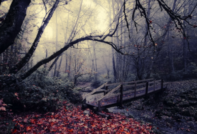 ​2023新春拜年祝福语 2023年新春拜年祝福语(精选190句)