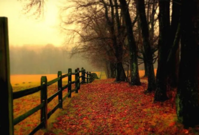 ​元旦贺卡祝福语大全(精选160句)