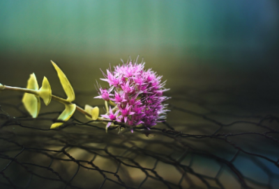 ​除夕夜祝福语简短句子 除夕夜祝福语简短(精选140句)