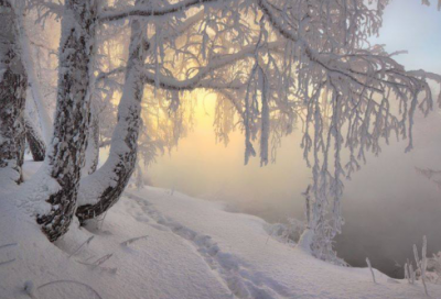 ​2023年冬至祝福语一句话