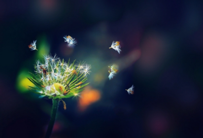 ​秋分将至的祝福语 秋分时节的祝福语(精选140句)