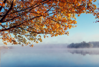 ​元旦祝福语简短创意(精选140句)