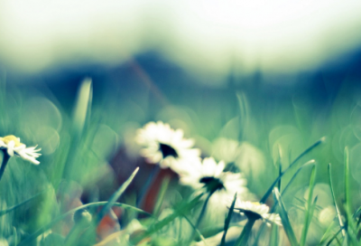 ​夏至经典走心祝福文案 夏至生日文案(精选100句)