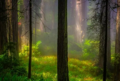 ​最经典的虎年春节祝福语 2023年虎年春节祝福语(精选110句)